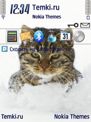 Пушистый Кот В Снегу для Nokia E52