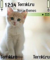 Котеночек для Nokia 3230
