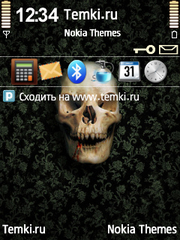 Череп для Nokia N76