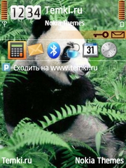 Панда для Nokia N82
