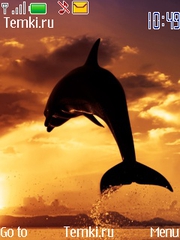 Дельфин для Nokia 3610 fold