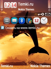 Дельфин для Nokia 5700 XpressMusic
