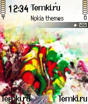 Цветастый арт для Nokia N70