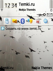 Вороны для Nokia 5320 XpressMusic