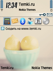Лимоны для Nokia N81 8GB