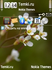 Цветы для Nokia 6760 Slide