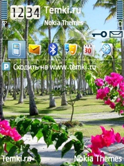 Цветы для Nokia 6124 Classic