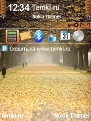 Осенняя дорога для Nokia C5-00 5MP