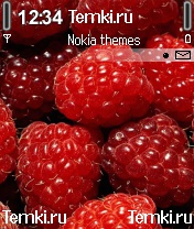 Малинка для Nokia N72