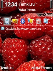 Малинка для Nokia E73 Mode