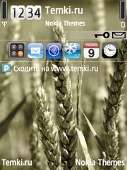 Поле для Nokia N93i