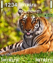 Тигр показывает тебе язык для Samsung SGH-D720