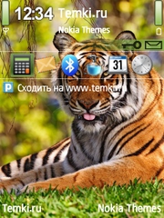 Скриншот №1 для темы Тигр показывает тебе язык