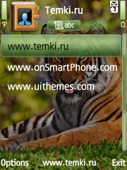 Скриншот №3 для темы Тигр показывает тебе язык
