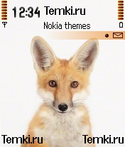 Лисёнок для Nokia 6681