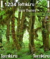 Влажные джунгли для Nokia 6681