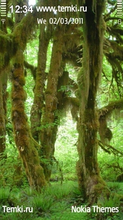 Влажные джунгли для Nokia 801T