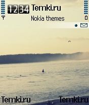 Вечер для Nokia 6260