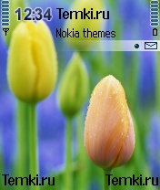 Бутоны для Nokia N72
