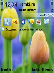 Бутоны для Nokia 6720 classic