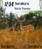 Звери для Nokia N90