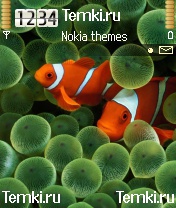Рыбки для Nokia 6680