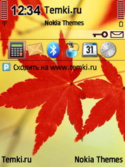 Листья красного цвета для Nokia N95