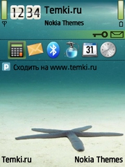 Морская звезда для Nokia 6760 Slide