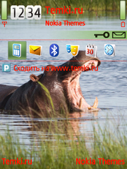 Бегемот для Nokia 6760 Slide