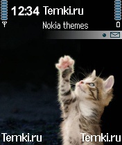 Котёнок для Nokia 7610