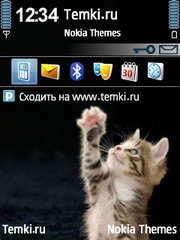 Котёнок для Nokia E50