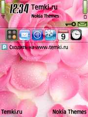 Роза для Nokia 6121 Classic