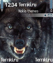 Злой волк для Nokia N70