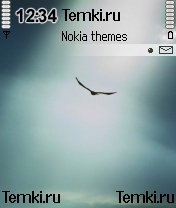 Высокого полета для Nokia 6681