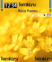 Желтые Цветы для Nokia N70