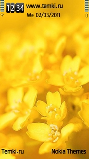 Желтые Цветы