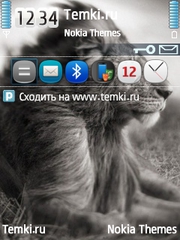 Лев для Nokia 6760 Slide