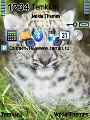 Снежный барс для Nokia N93
