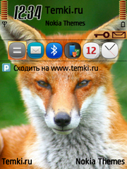 Лис для Nokia N93