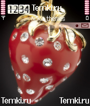 Ценная ягодка для S60 2nd Edition