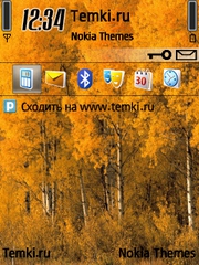 Осины для Nokia 6210 Navigator