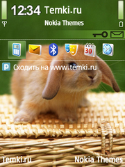 Крольчонок для Nokia 6124 Classic