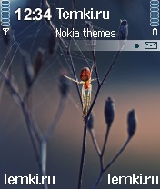 Паук и его паутина для Nokia N90