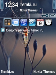 Паук и его паутина для Nokia 5700 XpressMusic