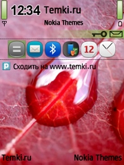 Роса для Nokia N95 8GB
