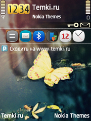 Бабочка для Nokia 6790 Slide