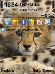 Дитёныш для Nokia N85