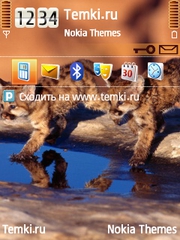 Котята в луже для Nokia 6205