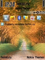 Дорога для Samsung i7110