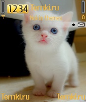 Котёнок для Nokia 6260